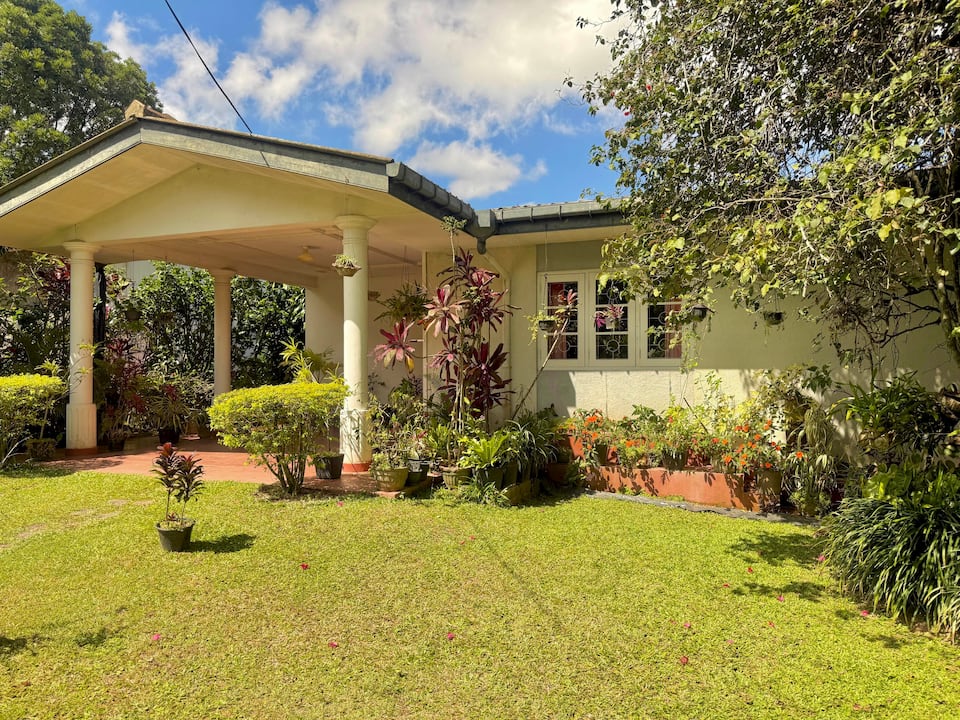 Villa Krista’s white bungalow and green garden